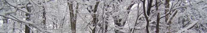 cropped-cropped-snowy-woods.jpg