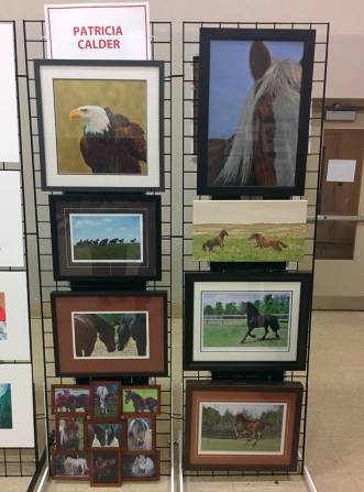 Blog Photo - Pat Calder Stall at Festival